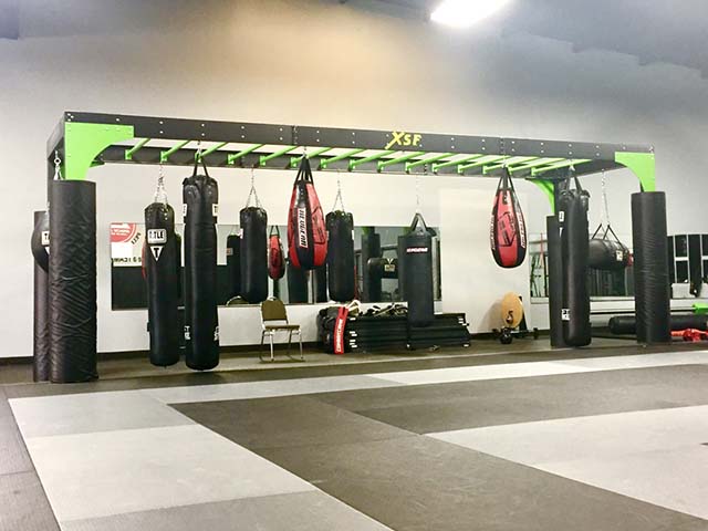 Gracie Barra Alabama Heavy Bag and Muay Thai Bag Rack